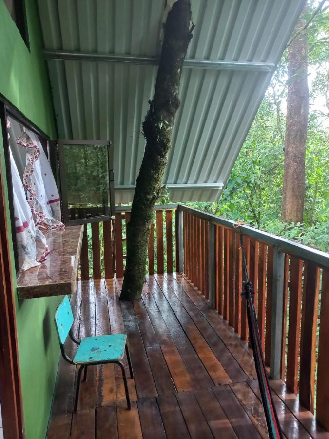 Cabana Escondida Rio Celeste San Rafael De Guatuso 外观 照片